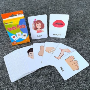 แฟลชการ์ดคำศัพท์ บัตรภาพคำศัพท์